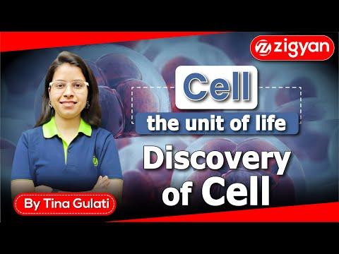 Cell- The unit of life class 11th | Cell discovery | Cell theory | NEET | Foundation |