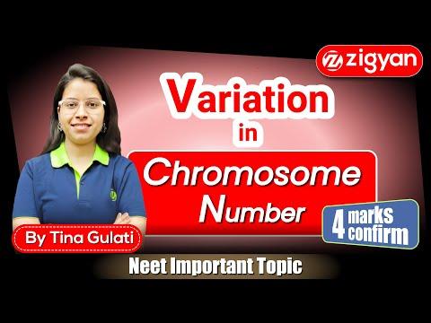 Variation in Chromosome number | Principle basis of inheritance | Genetics | NEET | Mutation |