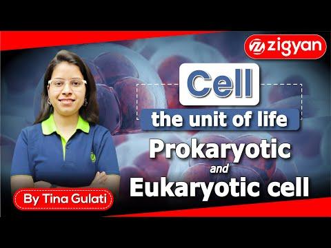 Cell - The unit of life class-11th | Types of cell | Prokaryotic &amp; Eukaryotic cell  NEET |Foundation