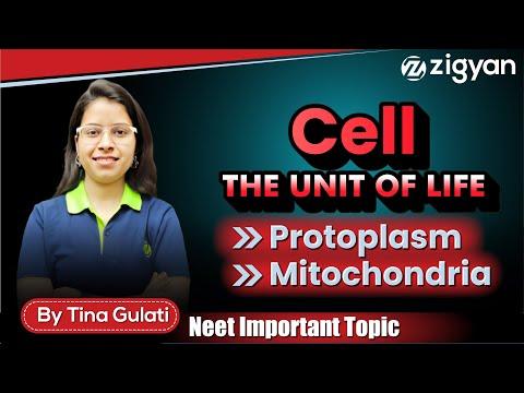 Protoplasm | Mitochondria | Functions of protoplasm | Semi-autonomous organelle | NEET |