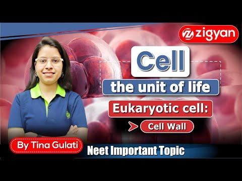 Cell wall | Plant cell | Eukaryotic cell | Cell wall components | Cell biology | NEET | CSIR NET |
